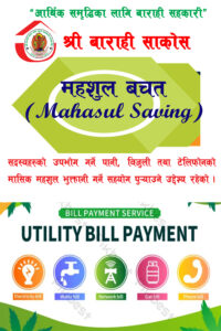 महशुल बचत