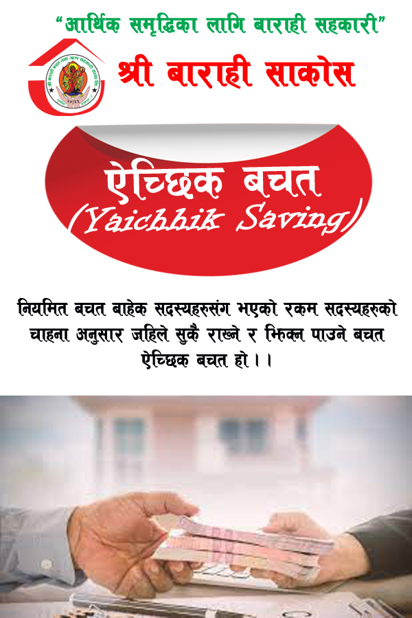  ऐच्छिक बचतः